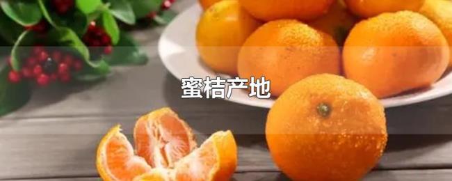蜜桔产地 蜜桔产地