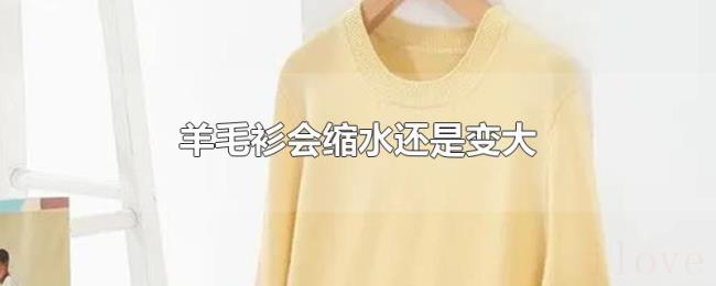 羊毛衫会缩水还是变大