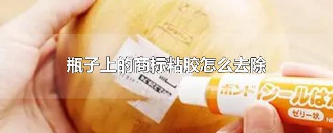 瓶子上的商标粘胶怎么去除