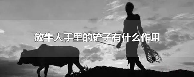 放牛人手里的铲子有什么作用