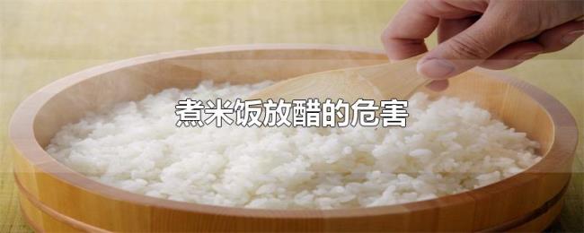 煮米饭放醋的危害