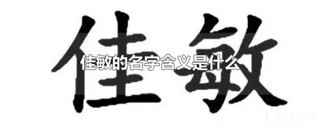 佳敏的名字含义是什么
