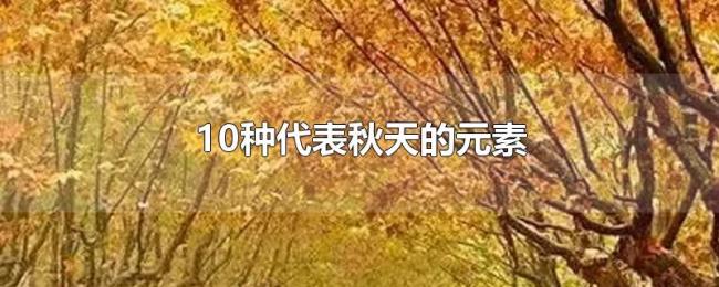 10种代表秋天的元素