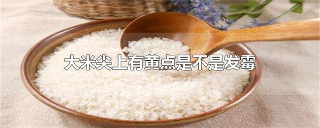 大米尖上有黄点是不是发霉