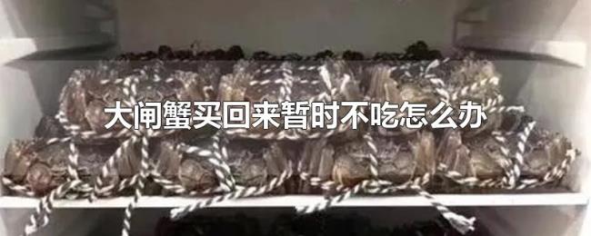 大闸蟹买回来暂时不吃怎么办