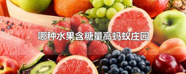 哪种水果含糖量高蚂蚁庄园
