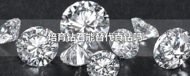培育钻石能替代真钻吗