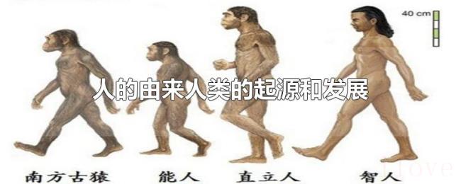 人的由来人类的起源和发展 人的由来人类的起源和发展