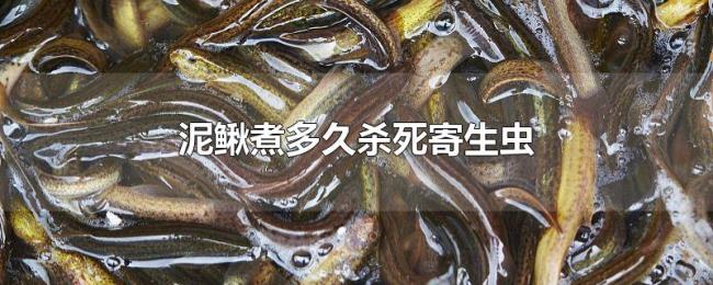 泥鳅煮多久杀死寄生虫 泥鳅煮多久杀死寄生虫