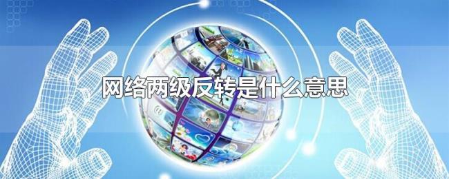 网络两级反转是什么意思