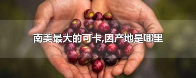 南美最大的可卡,因产地是哪里