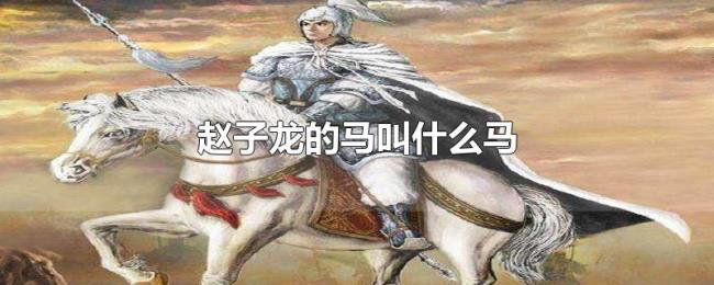 赵子龙的马叫什么马 赵子龙的马叫什么马