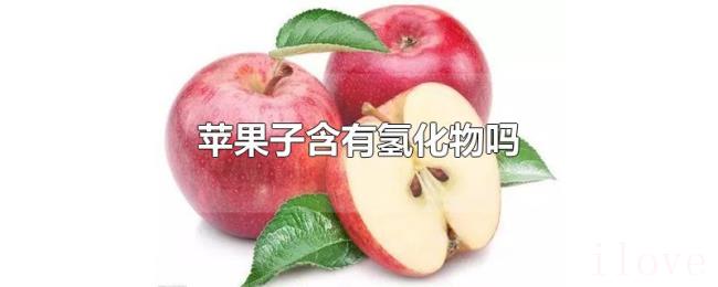 苹果子含有氢化物吗 苹果子含有氢化物吗