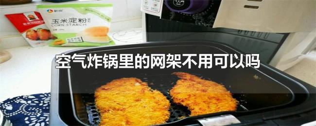 空气炸锅里的网架不用可以吗 空气炸锅里的网架不用可以吗