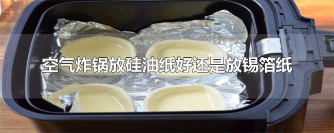 空气炸锅放硅油纸好还是放锡箔纸 空气炸锅放硅油纸好还是放锡箔纸