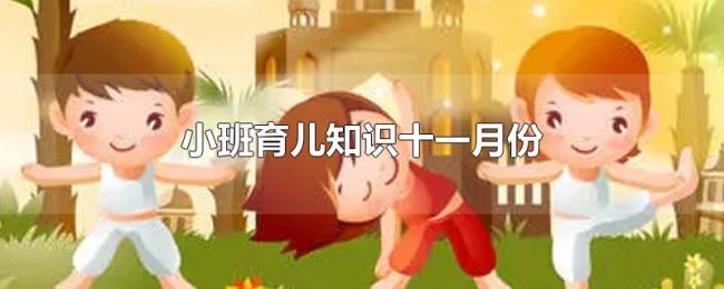 小班育儿知识十一月份
