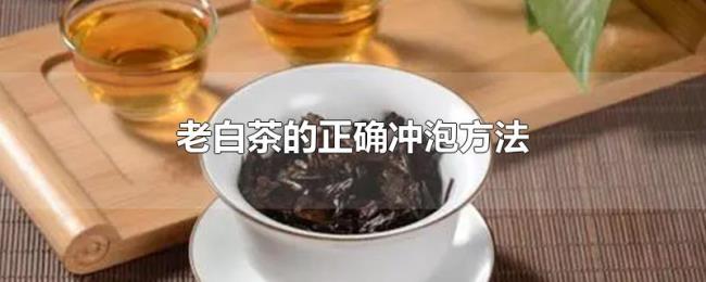 老白茶的正确冲泡方法 老白茶的正确冲泡方法