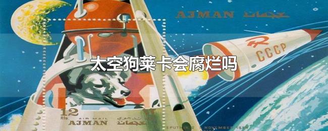太空狗莱卡会腐烂吗 太空狗莱卡会腐烂吗
