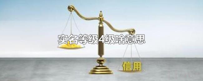 实名等级4级啥意思