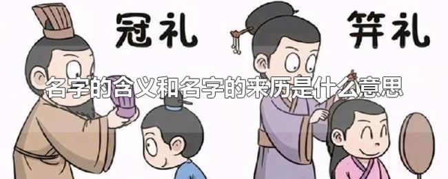 名字的含义和名字的来历是什么意思