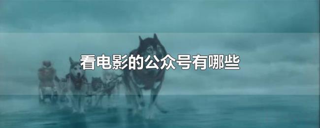 看电影的公众号有哪些