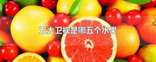 五大卫视是哪五个水果