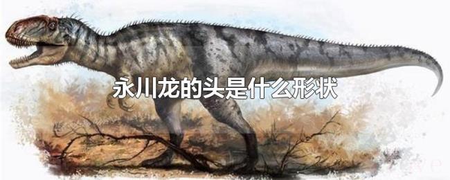 永川龙的头是什么形状 永川龙的头是什么形状