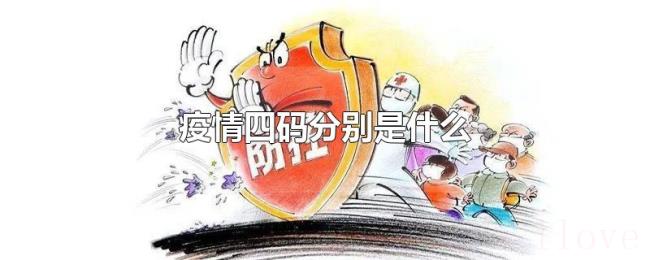 疫情四码分别是什么