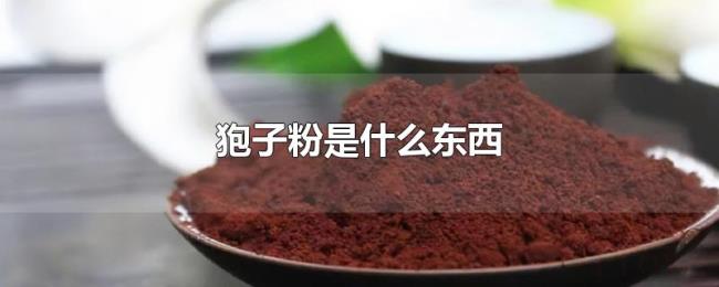 狍子粉是什么东西 狍子粉是什么东西