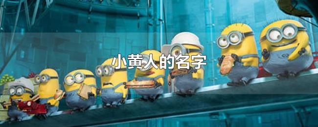 小黄人的名字