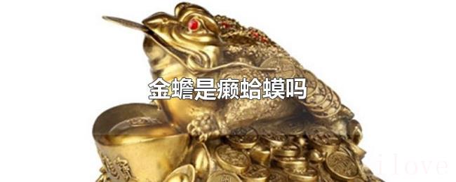 金蟾是癞蛤蟆吗