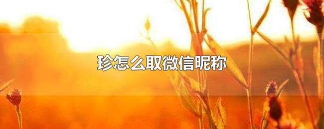 珍怎么取微信昵称 珍怎么取微信昵称