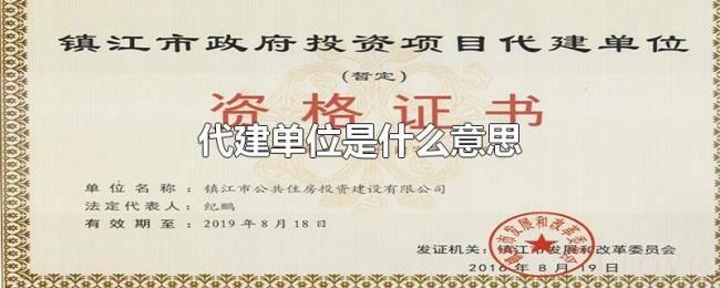 代建单位是什么意思