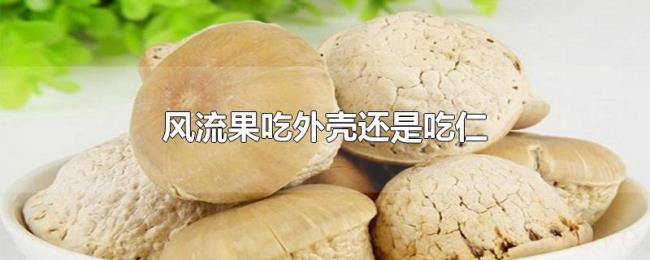 风流果吃外壳还是吃仁