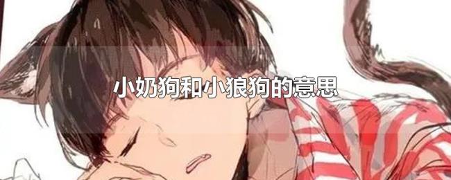 小奶狗和小狼狗的意思