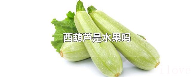 西葫芦是水果吗