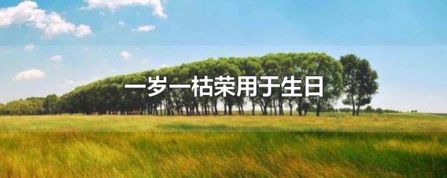 一岁一枯荣用于生日 一岁一枯荣用于生日