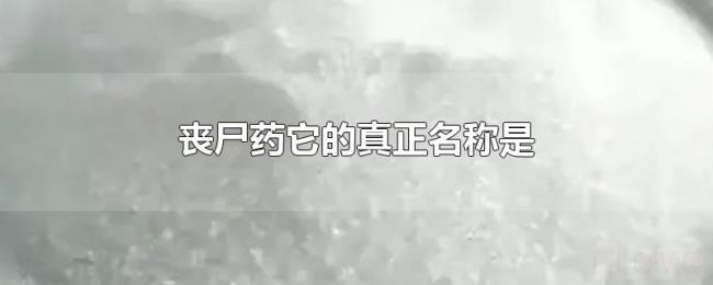 丧尸药它的真正名称是 丧尸药它的真正名称是