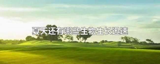 夏天还有哪些生物生长迅速 夏天还有哪些生物生长迅速