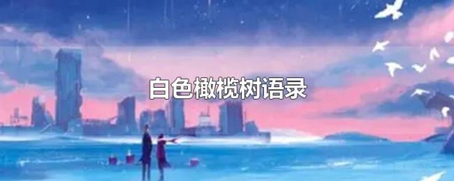 白色橄榄树语录