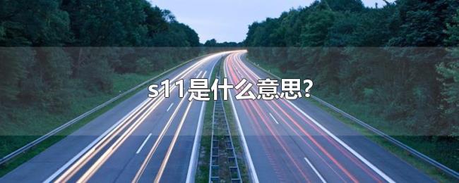 s11是什么意思? s11是什么意思?