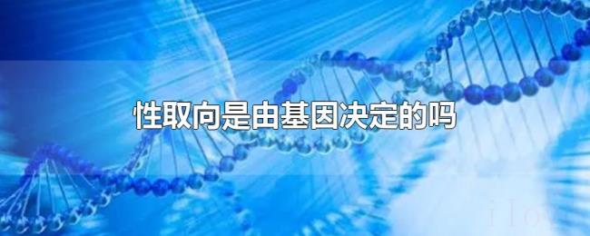 性取向是由基因决定的吗