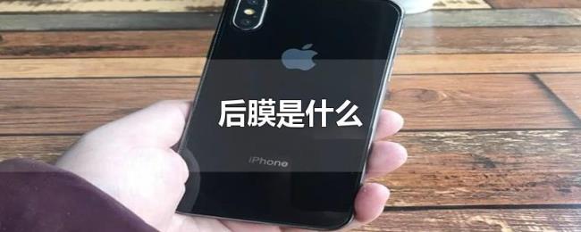 后膜是什么 后膜是什么