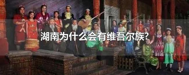 湖南为什么会有维吾尔族?