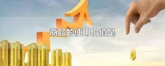 商品的使用价值是