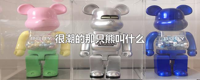 很潮的那只熊叫什么