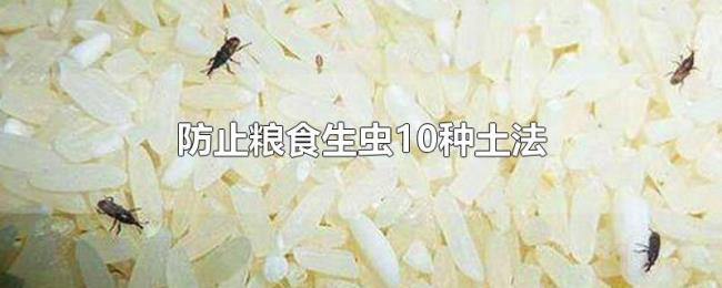 防止粮食生虫10种土法