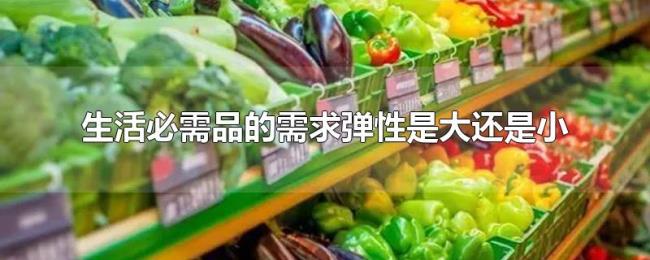 生活必需品的需求弹性是大还是小