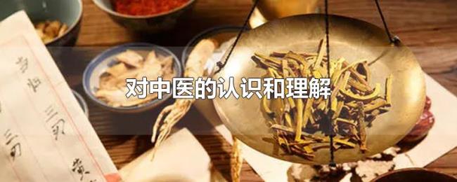 对中医的认识和理解