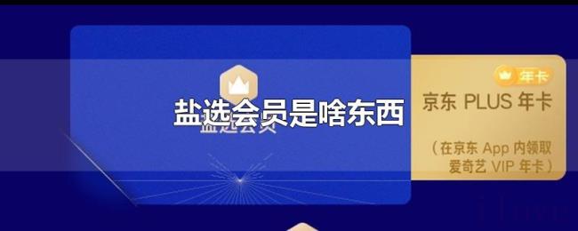 盐选会员是啥东西